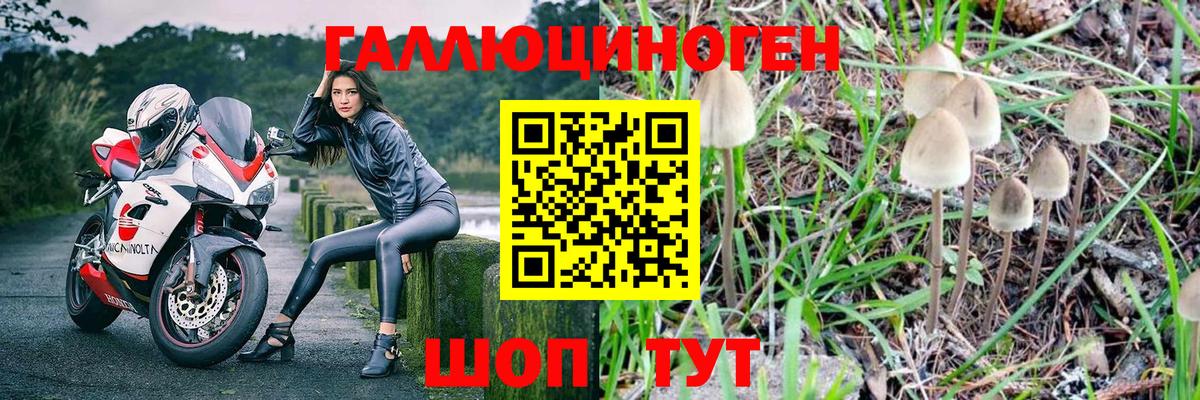 Псилоцибиновые грибы ЛСД Люберцы